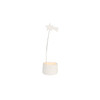 Rader Kayan Yıldız Tealight Mumluk Beyaz
