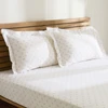 Kaşmir Home Grasy %100 Pamuk Çift Kişilik Çarşaf Takımı Bej