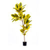 The Mia Ficus Altissima Yapay Ağaç Sarı Yeşil 6 Dal 170 Cm