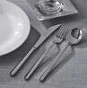 Jumbo Steel Sert Peynir Rendesi