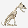 Flying Tiger Copenhagen Beyaz Kedi İskeleti