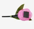 Flying Tiger Copenhagen Güneş Enerjisiyle Çalışan Pembe Lale Şeklinde Lamba