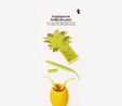 Flying Tiger Copenhagen Sarı Ananas Şeklinde Tükenmez Kalem Seti