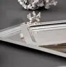 Jumbo Poseidon XXV Mercanlı Tepsi 25x17,5 cm