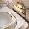 Emsan Başak Fine Bone 60 Parça 12 Kişilik Kare Yemek Takımı Gold