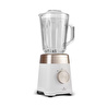 Emsan Multiblend Smoothie Blender Cream 1000W