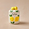 Karaca Lemon Saklama Kabı 840 ml
