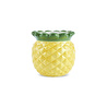 Karaca Pineapple Mini Saksı 295 ml