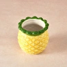 Karaca Pineapple Mini Saksı 295 ml