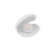 Karaca Home Shell Led Işıklı Dekoratif Obje 16x14 cm