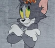 Kaşmir Halı Tom Ve Jerry Dekoratif Art Çocuk/Genç 100x150 cm