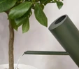 Stelton Bloom Çiçek Sulama Sürahisi 2 L Koyu Yeşil