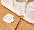 Karaca Ring Lüsterli Baharat Takımı 280 ml