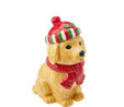 Karaca Home Golden Dog Dekoratif Kutu 25cm