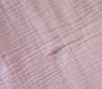 Karaca Home Royale Blush %100 Pamuk Müslin Nakışlı Private Bebek Yorgan Seti