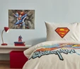 Karaca Home Superman by Blue Power Tek Kişilik Pike Takımı