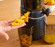 Karaca Fresh Press Slow Juicer Yavaş Sıkım Katı Meyve Sıkacağı Antrasit