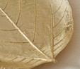 karaca Leaf Dekoratif Tabak Gold 24x18x2,5 cm