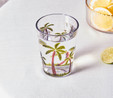 Karaca Palmera Akrilik Su Bardağı 430 ml Şeffaf 