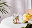 Karaca Palmera Akrilik Su Bardağı 430 ml Şeffaf 