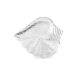 Karaca Marin Seashell Çerezlik 19 x 23,5 cm