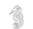 Karaca Marin Seahorse Dekoratif Tabak 15,25 x 31 cm