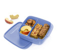 TUPPERWARE BÖLMELİ BESLENME KUTUSU LİLA