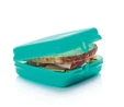 TUPPERWARE SANDVİÇ KUTUSU MAVİ