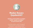 Emsan Cemre Maxi Bronz Çaydanlık Takımı