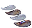 Karaca Lal Mussel 4lü Çerezlik