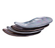 Karaca Lal Mussel 4lü Çerezlik