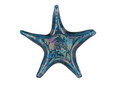 KARACA ISLAND SEA STAR MAVİ 29CM TABAK
