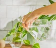 Karaca Dakota Mantar Tıpa Sürahi 1300 ml