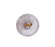 Karaca Jungle Deer Çerezlik 12 cm