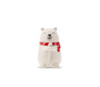 Karaca New Year Polar Bear Kaşıklı Kupa/Mug 350 ml