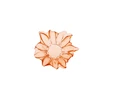 Karaca Papatyalı 4 Parça Reçellik 10 cm