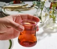 Karaca Touch Barbara Çay Bardağı