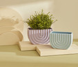 Karaca Home California Saksı Lila 17,4X8X10,4 Cm