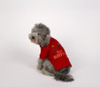 Karaca Home x Pati Best Buddyguard Ever T-Shirt M Beden Kırmızı