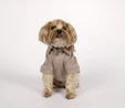 Karaca Home x Pati I Woof you T-Shirt S Beden Vizon