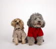Karaca Home x Pati I Woof you T-Shirt M Beden Vizon