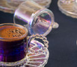 Emsan Muhabbet 100 ml 6'lı Kahve Fincan Takımı