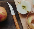 Opinel Essentials Günlük 4'lü Bıçak Seti