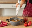 Homend Handmaid 1907H Blender Set Krem Gri