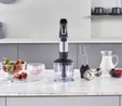 Homend Handmaid 1965h Inox Çelik Bıçaklı Blender Set