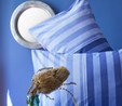 Nautica Home Hillgrove %100 Pamuk Tek Kişilik Nevresim Seti