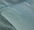 Nautica Home Yeşil %100 Pamuk Tek Kişilik Fitted/Lastikli Çarşaf