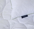 Nautica Home Aloe Vera Yastık 