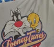 Karaca Home Looney Tunes Team Champs %100 Pamuk Tek Kişilik Nevresim Takımı