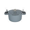 Berghoff Leo Phantom Kapakli Yapişmaz Derin Tencere 24 Cm Smoked Grey